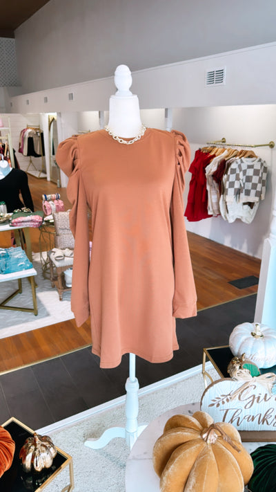 Brown Puff Sleeve Dress